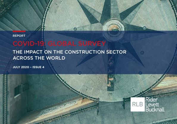 新冠肺炎：全球调查报告，第4期