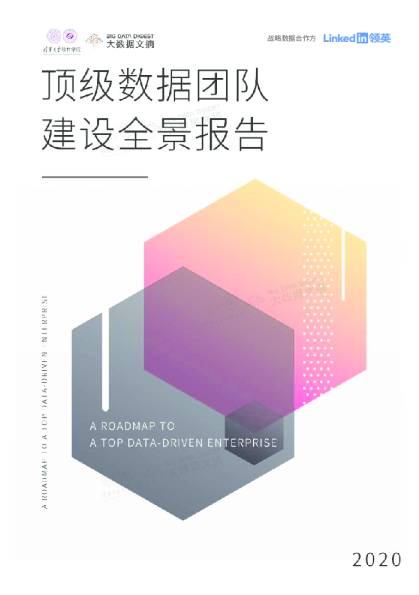 2020顶级数据团队建设全景报告-清华 领英-202007