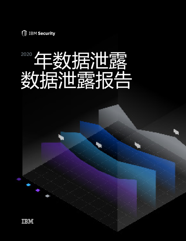 2020年数据泄露报告