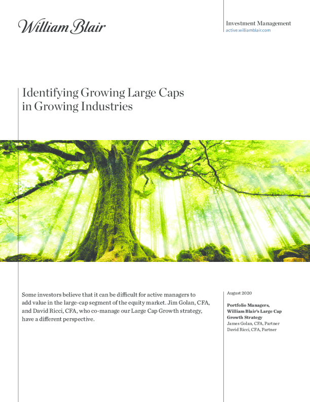 识别成长型行业中不断增长的大上限