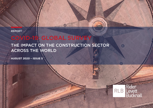 新冠肺炎：全球调查报告，第5期