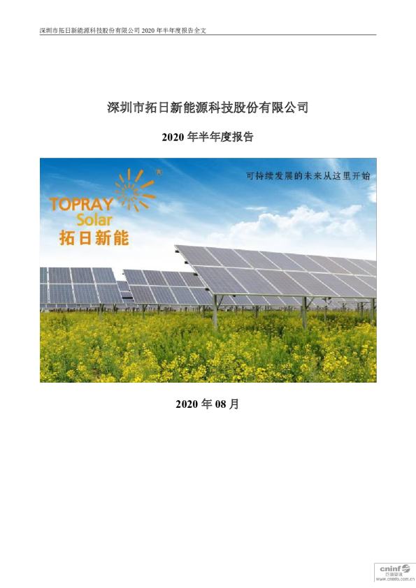 拓日新能：2020年半年度报告