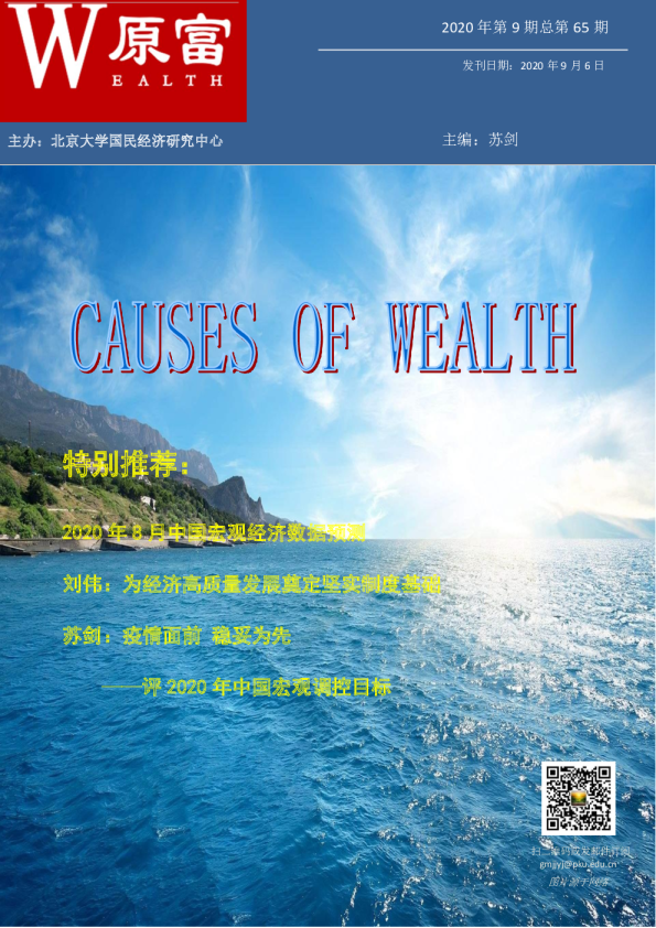 2020年第9期总第65期：评2020年中国宏观调控目标