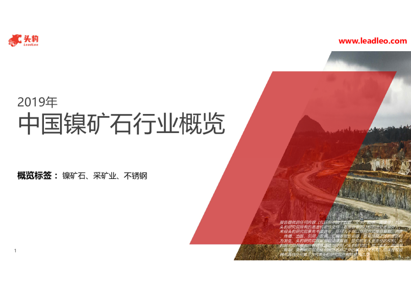 2019年中国镍矿石行业概览