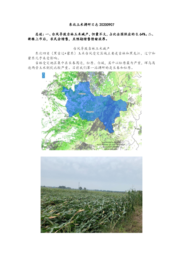 东北玉米调研日志