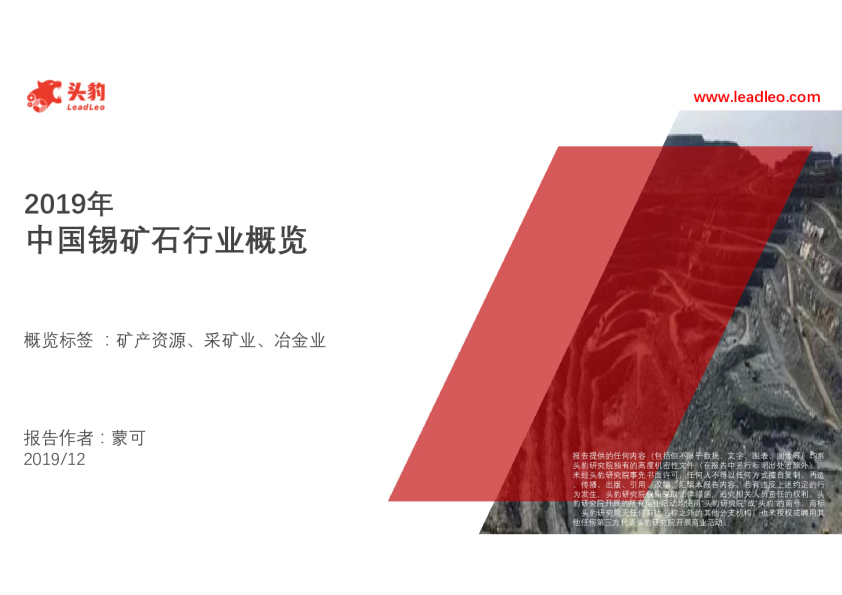 2019年中国锡矿石行业概览