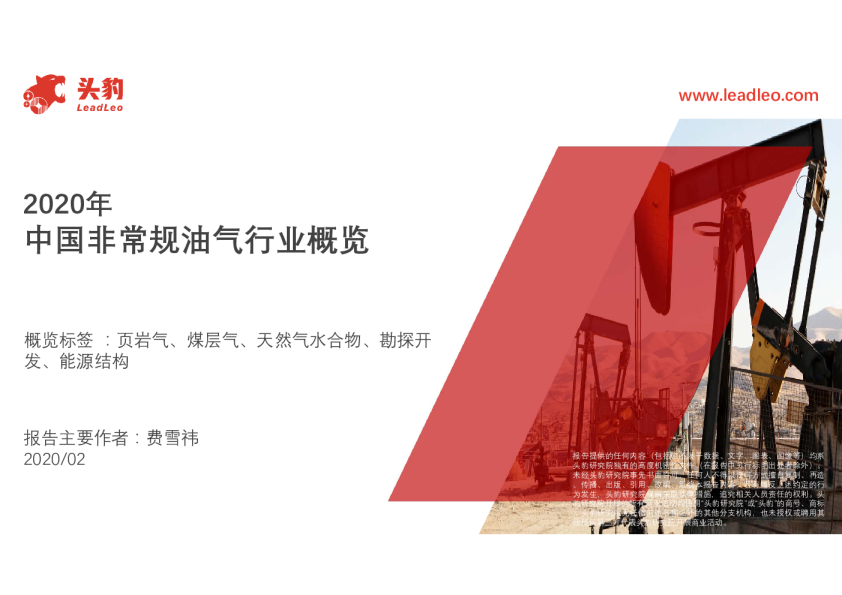 2020年中国非常规油气行业概览