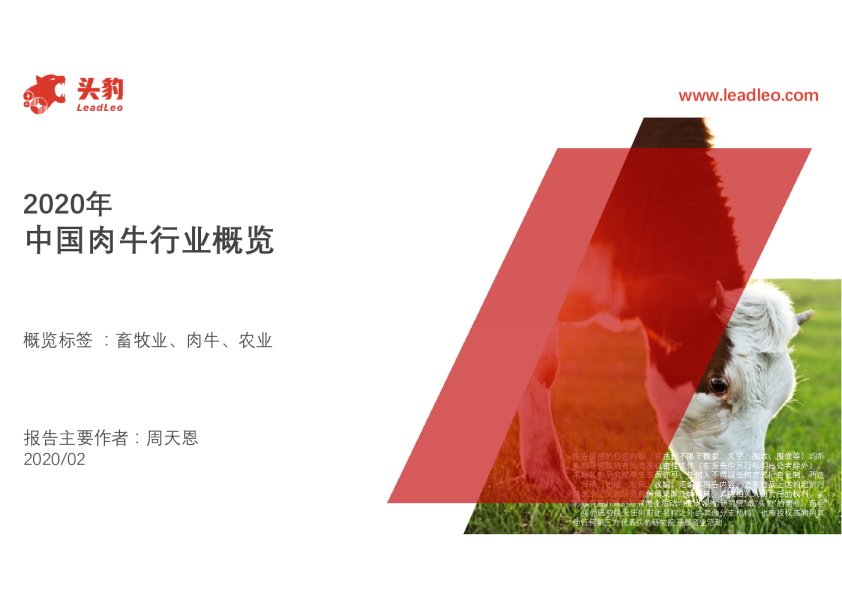 2020年中国肉牛行业概览