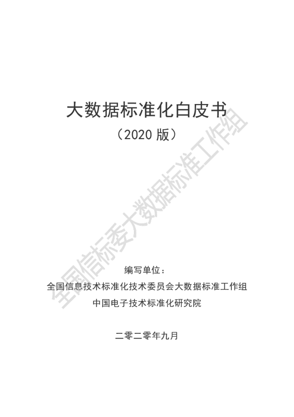 大数据标准化白皮书 （2020 版）