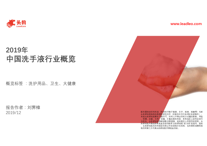 2019年中国洗手液行业概览