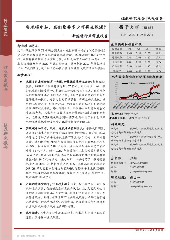 新能源行业报告：碳中和