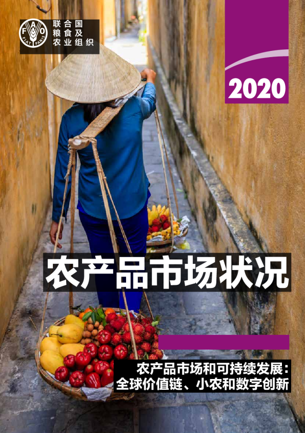 2020年农产品行业市场状况：农产品市场和可持续发展，全球价值链、小农和数字创新