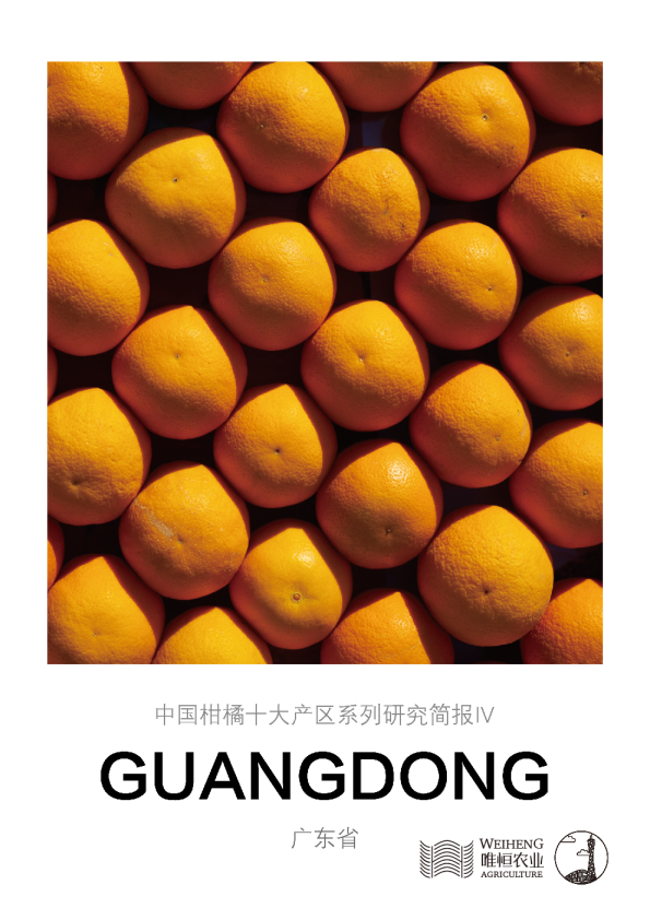 中国柑橘十大产区系列研究简报(四)-广东省
