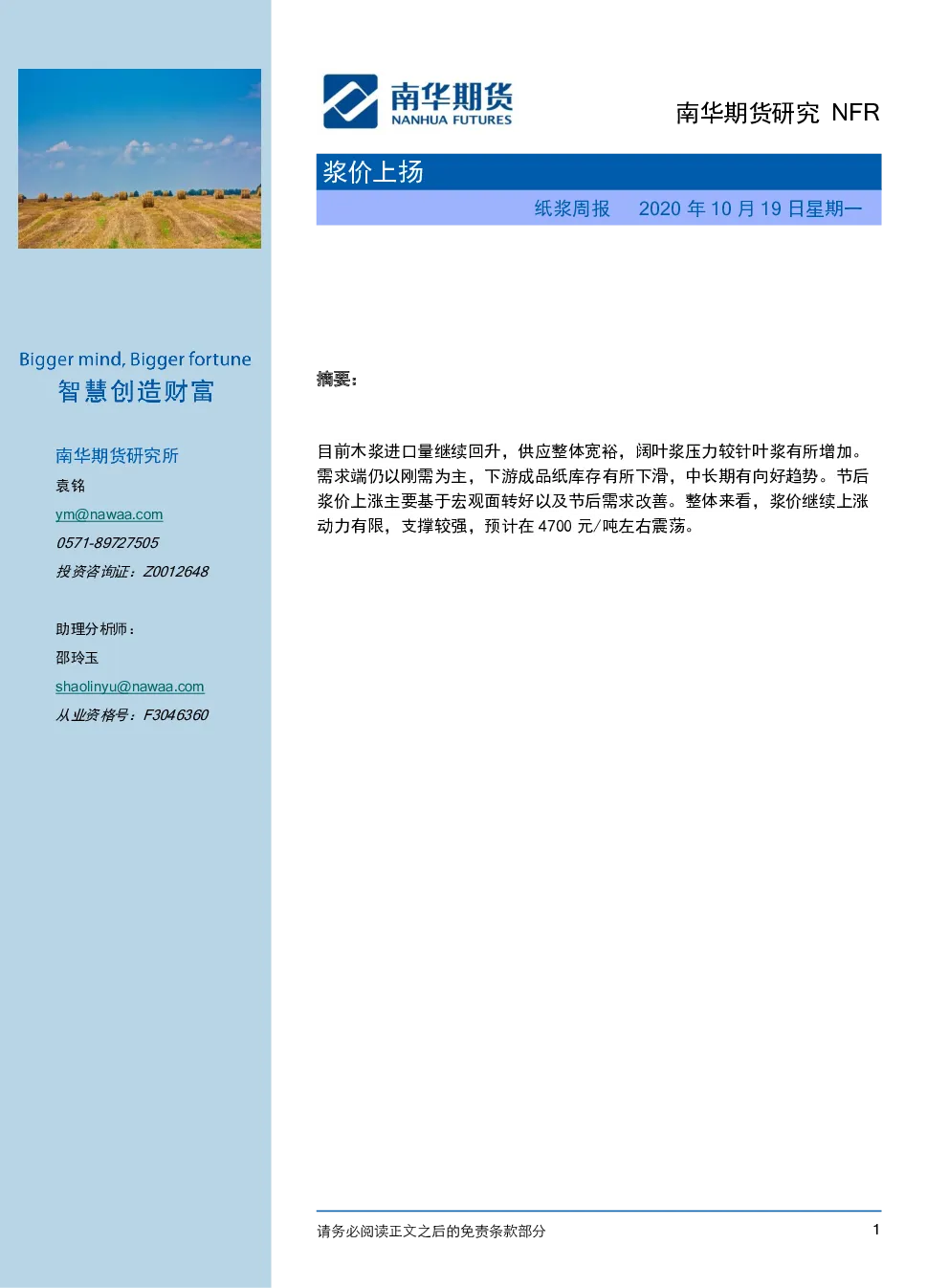 报告封面