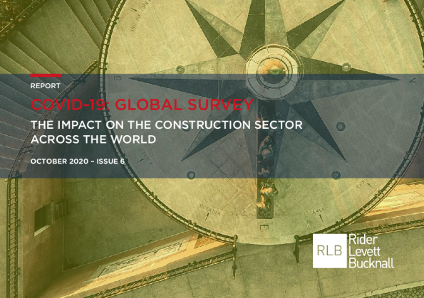 新冠肺炎：全球调查报告，第6期