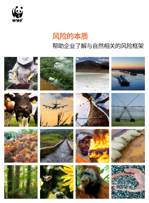 风险的本质：帮助企业了解与自然相关的风险框架