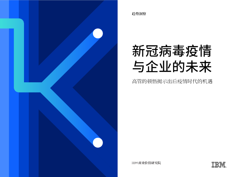 高管的顿悟揭示出后疫情时代的机遇：新冠病毒疫情与企业的未来
