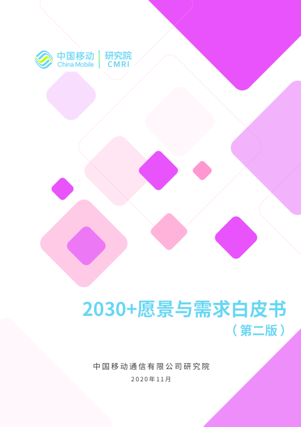 2030+愿景与需求白皮书（ 第二版 ）