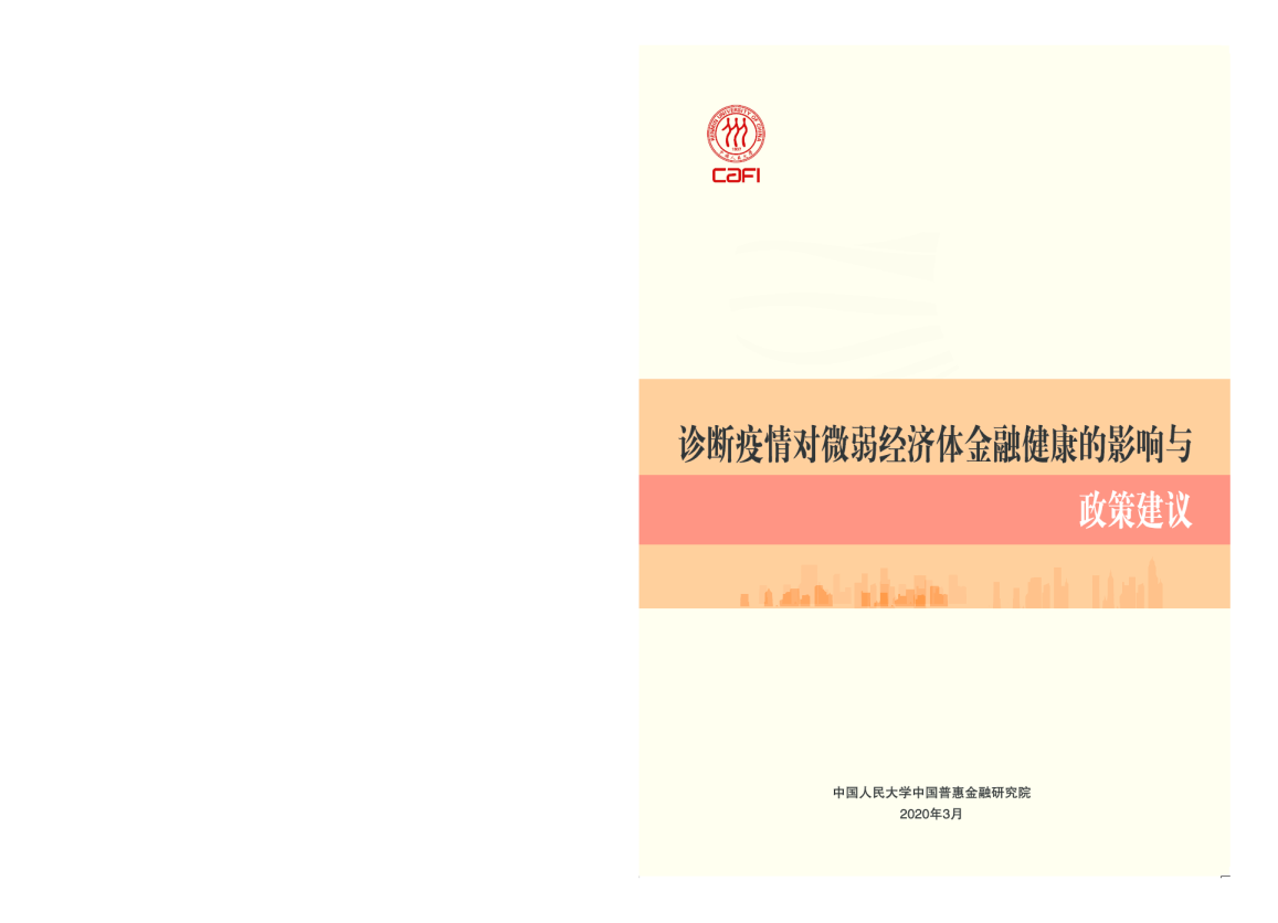 CAFI2020_诊断疫情对微弱经济体金融健康的影响与政策建议