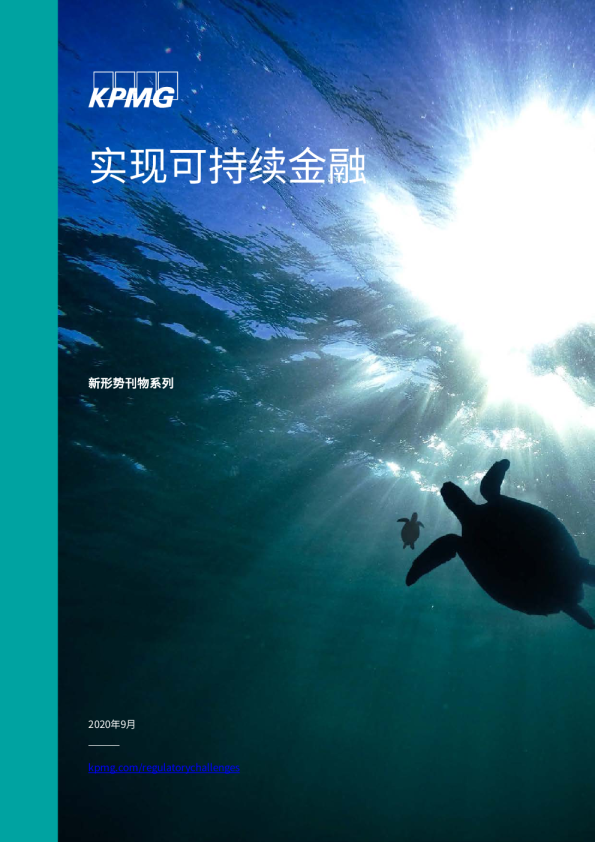 实现可持续金融