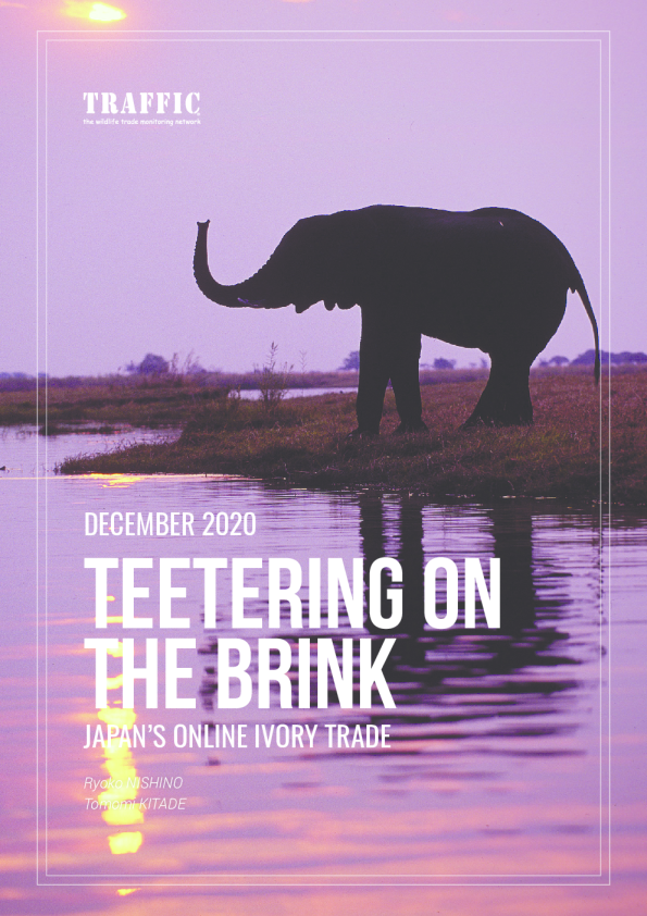 电子商务公司在解决日本有害象牙市场中取得的典范进步