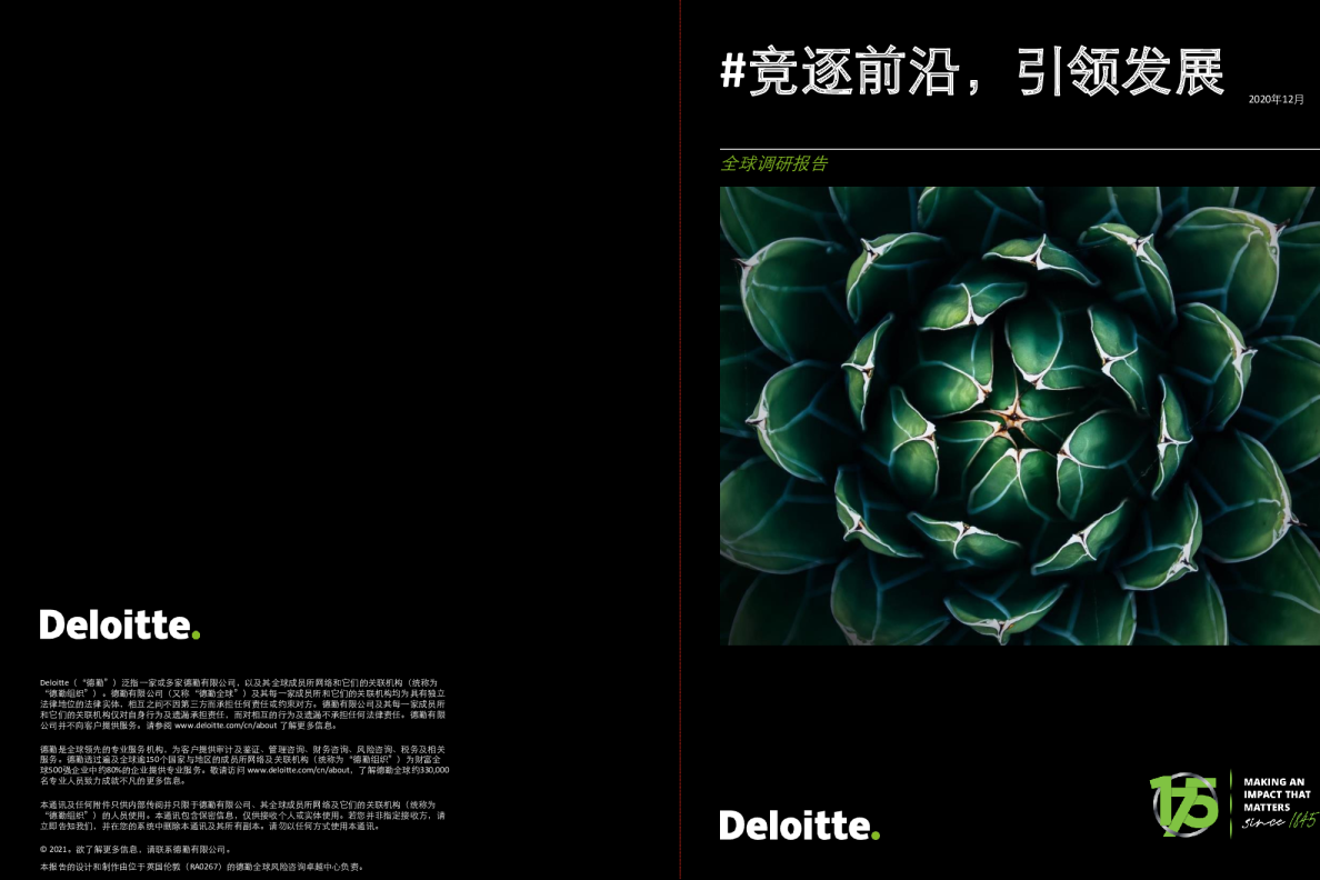 竞逐前沿，引领发展