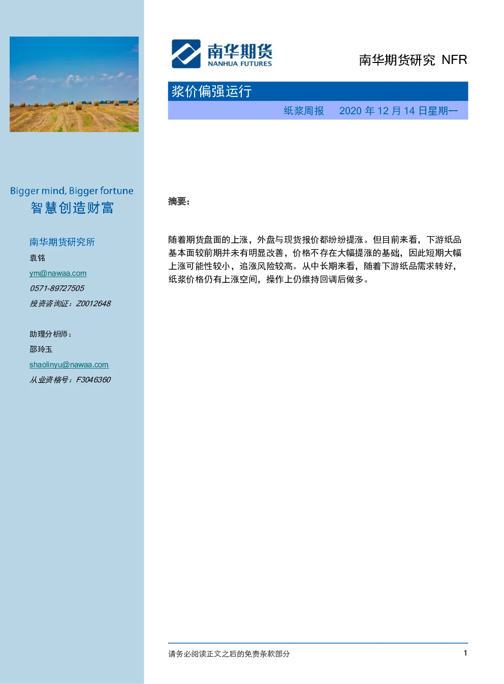 报告封面