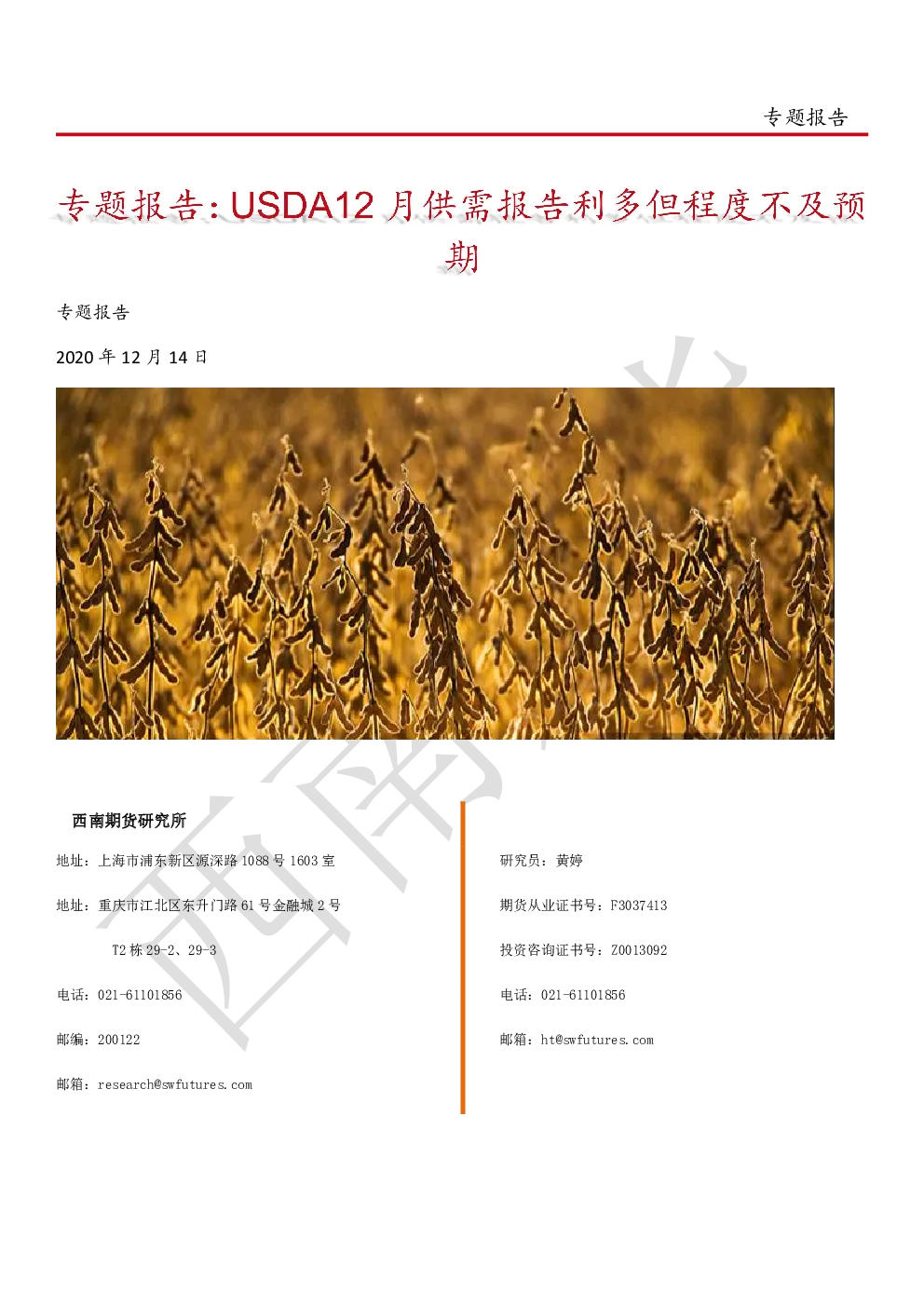 报告封面