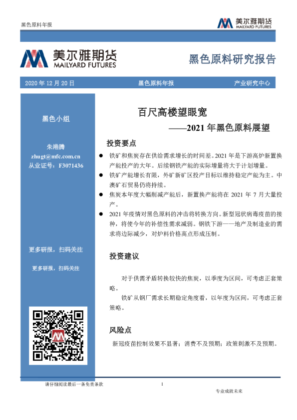 2021年黑色原料展望：百尺高楼望眼宽