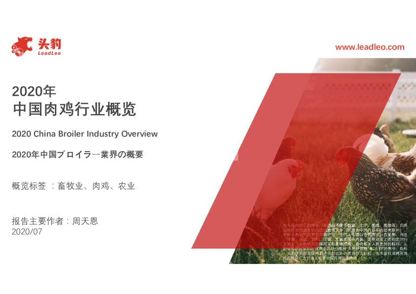 2020年中国肉鸡行业概览
