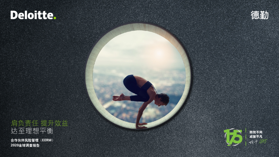 肩负责任 提升效益：达至理想平衡——合作伙伴风险管理2020全球调查