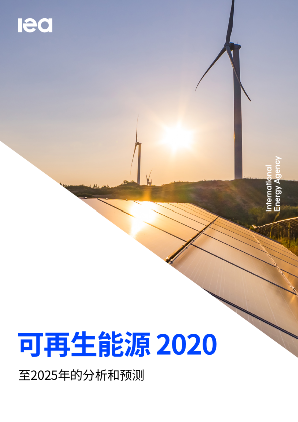 2020年可再生能源报告
