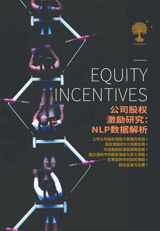 中伦公司股权激励研究：NLP数据解析