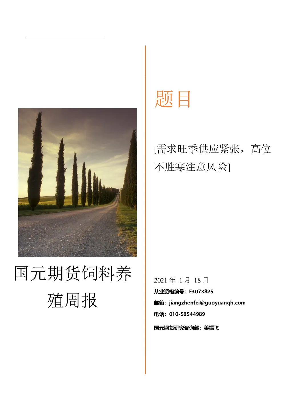 报告封面