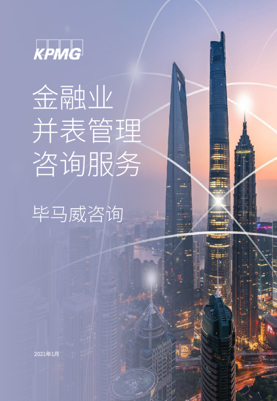 金融行业：金融业并表管理咨询服务