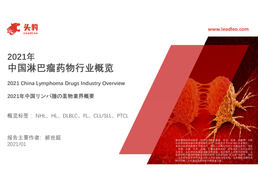中国淋巴瘤药物行业概览