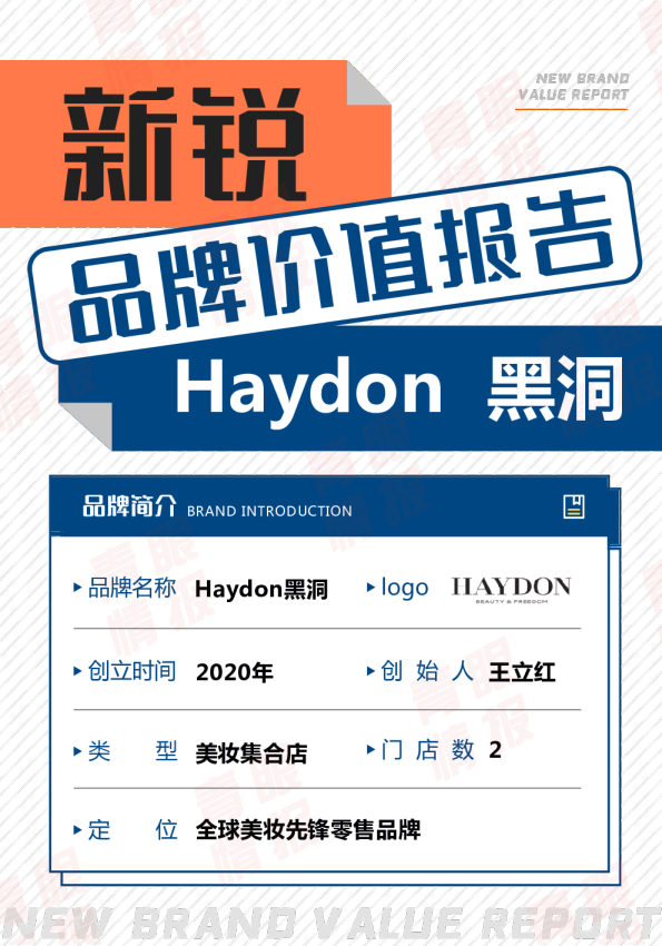 Haydon黑洞品牌价值报告