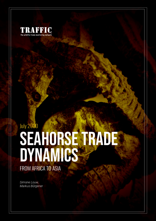 海马贸易从非洲到亚洲的动态