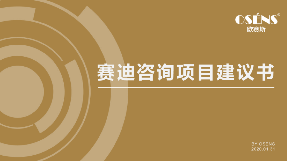 赛迪咨询公司品牌策划案