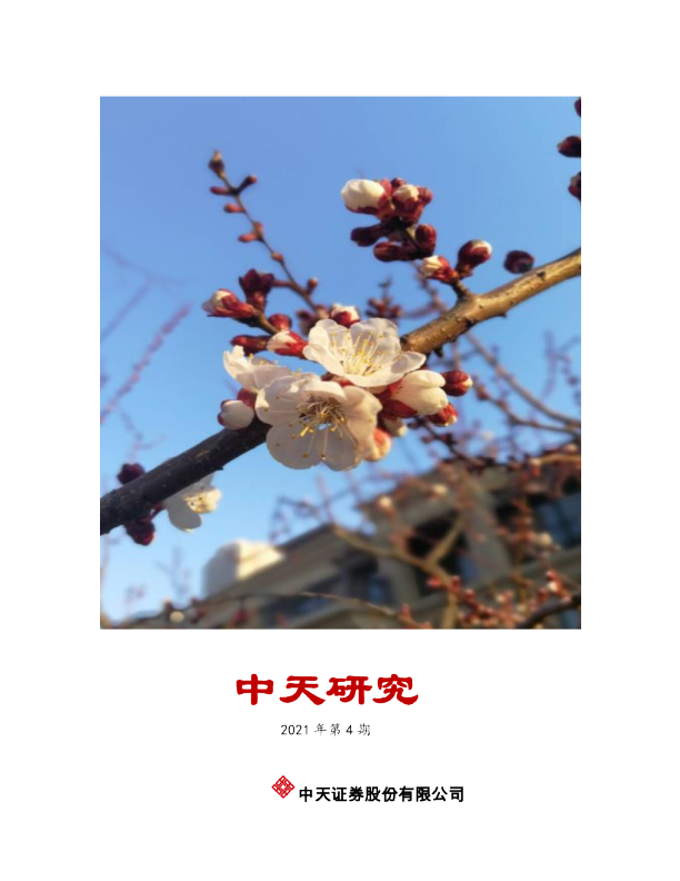 中天研究2021年第4期