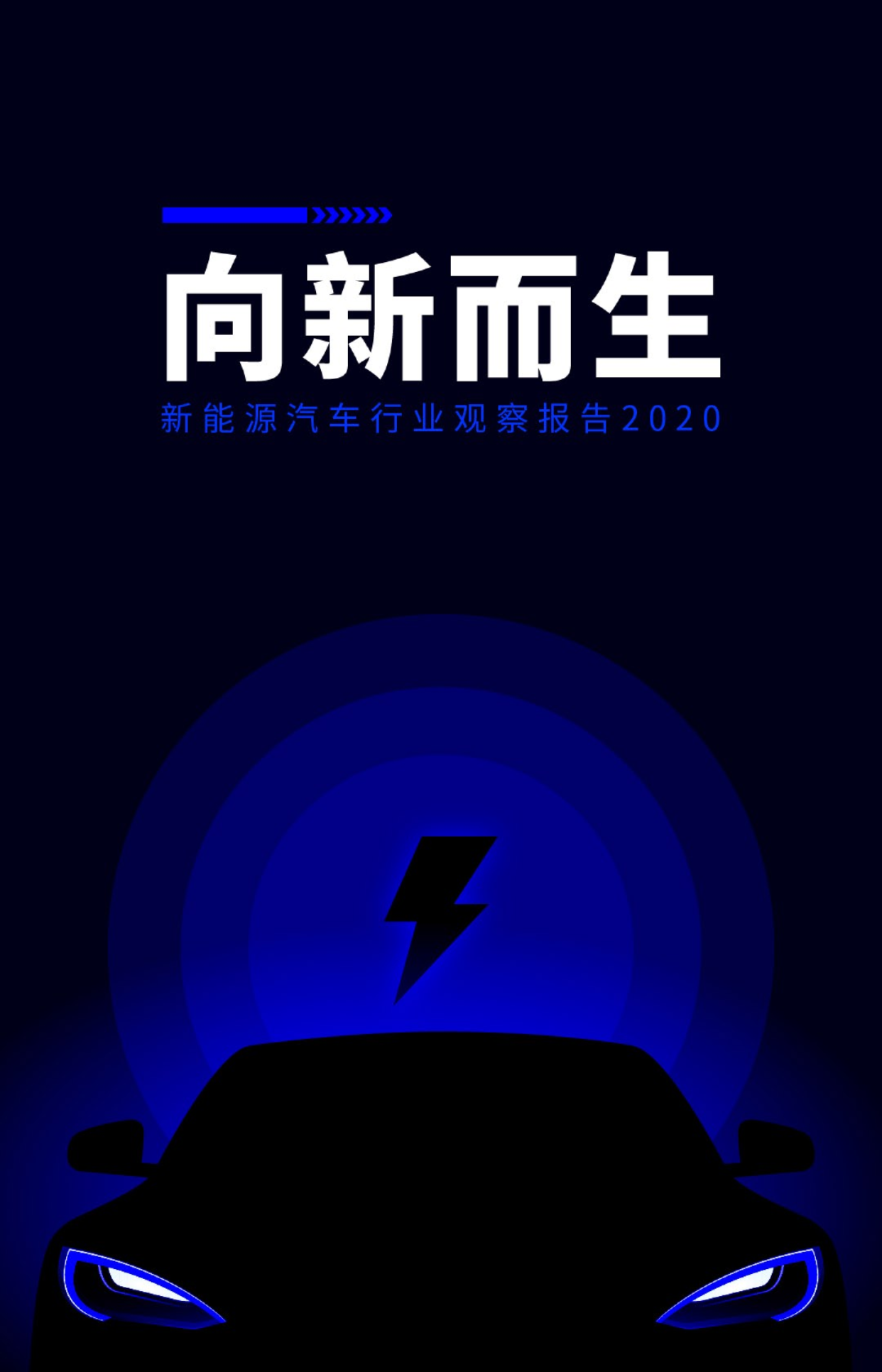 向新而生：新能源行业观察报告2020