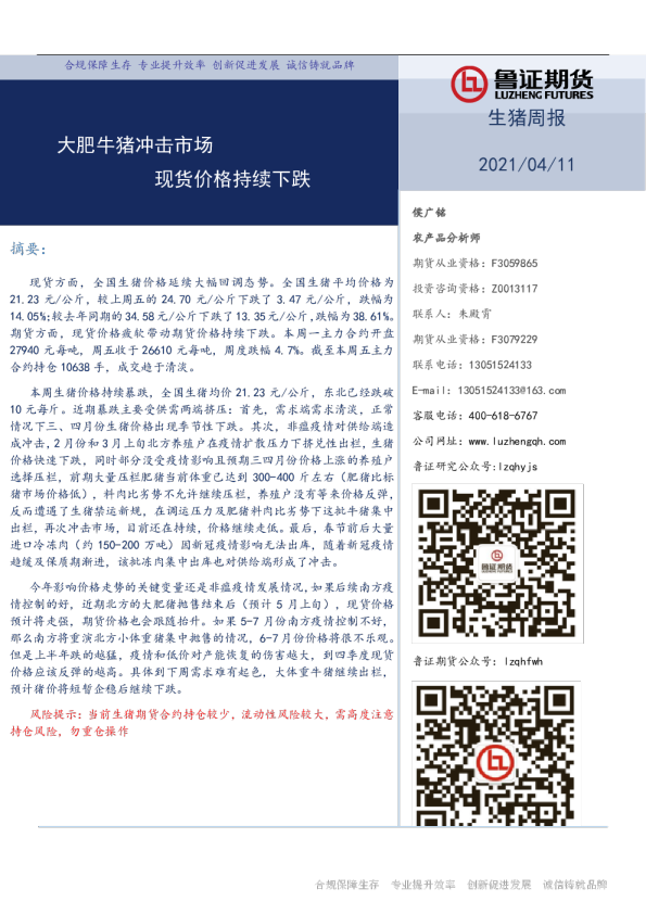 大肥牛猪冲击市场，现货价格持续下跌