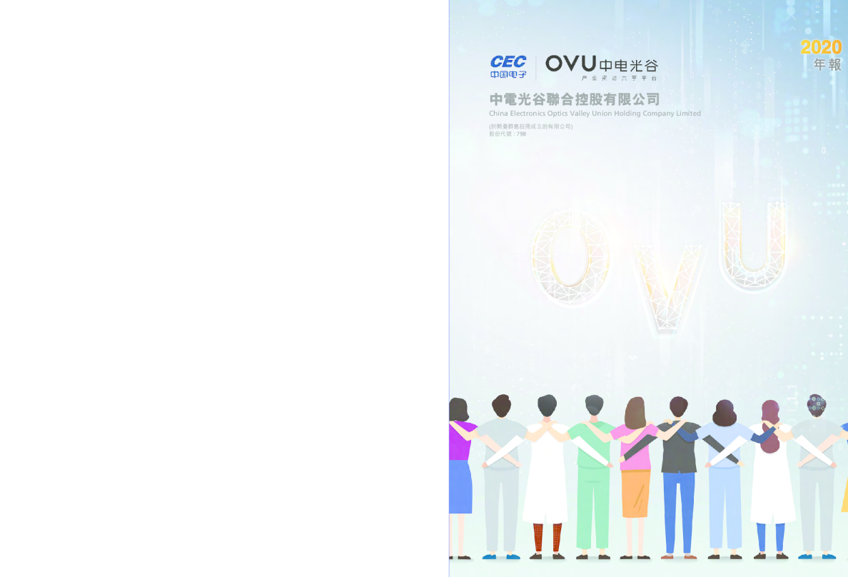 中电光谷年度报告2020