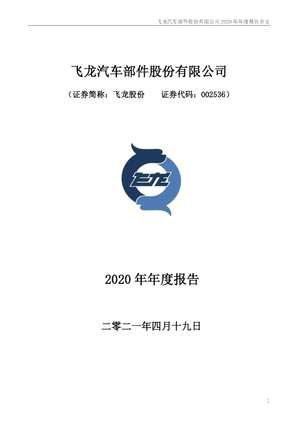飞龙股份：2020年年度报告