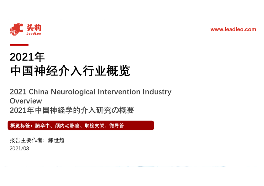 医疗：2021年中国神经介入行业概览