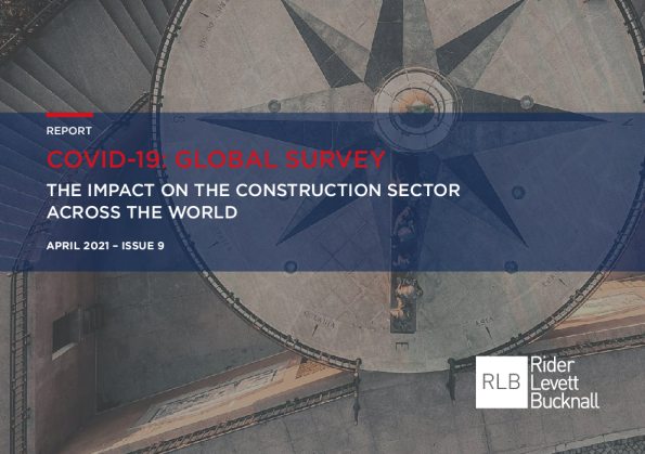 新冠肺炎：全球调查报告，第9期