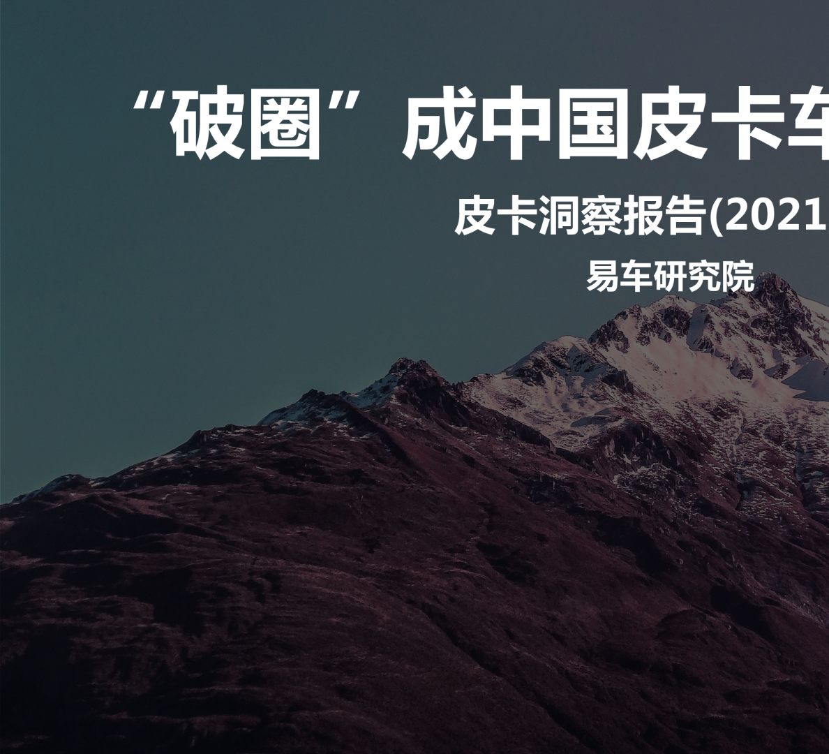 皮卡洞察报告2021版