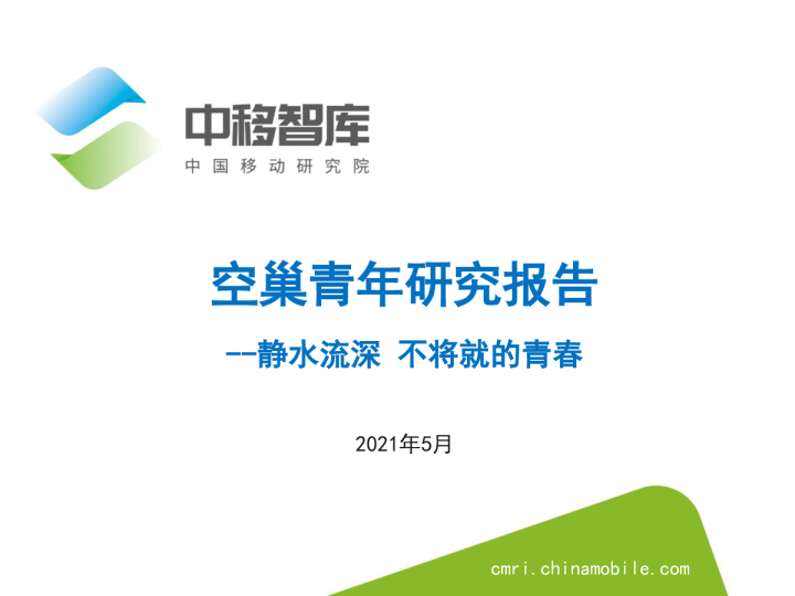 2021空巢青年研究报告