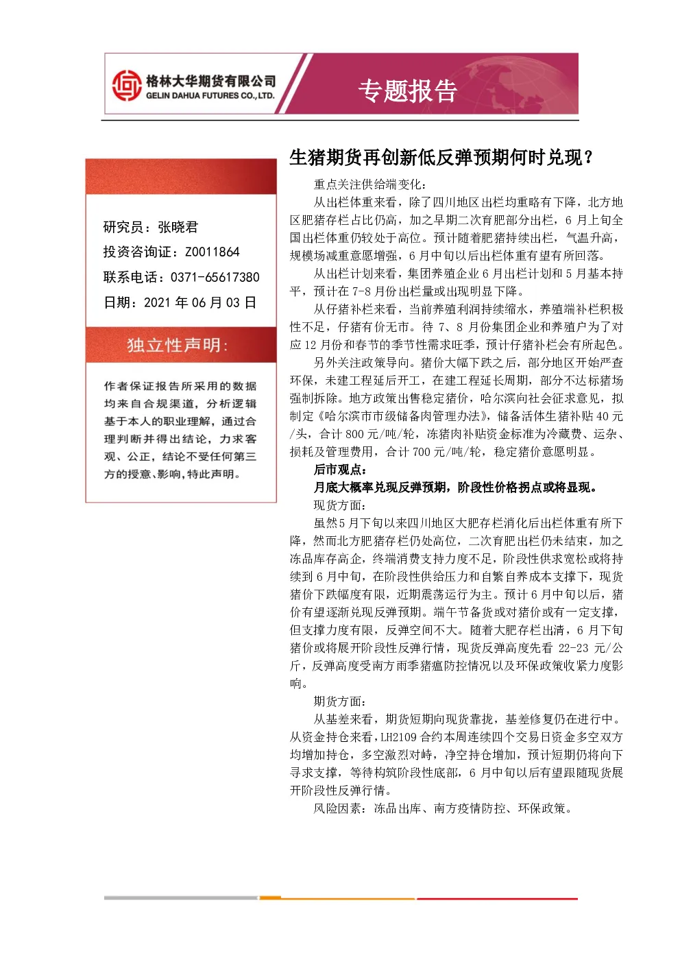 报告封面