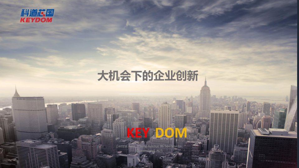 大机会下的企业创新